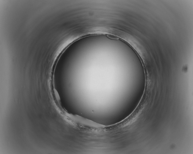 X0000096990901200802151350