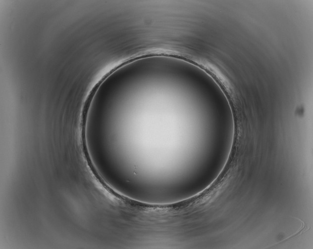 X0000096990902200802151350