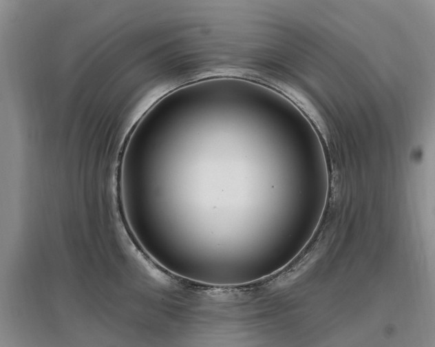 X0000096990906200802151350