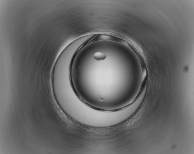X0000096990907200802151350