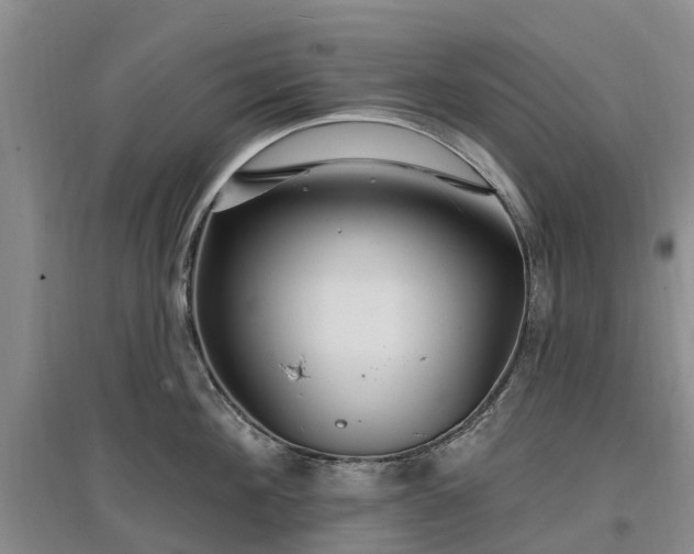X0000096990908200802151350