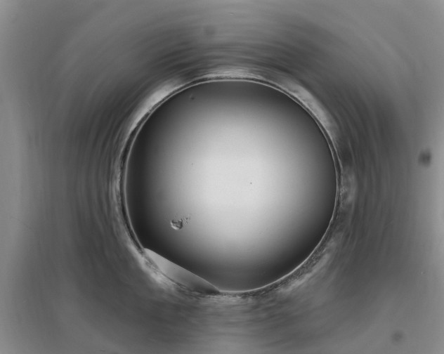 X0000096990909200802151350