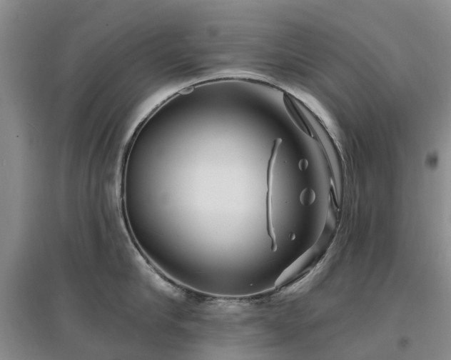 X0000096990910200802151350