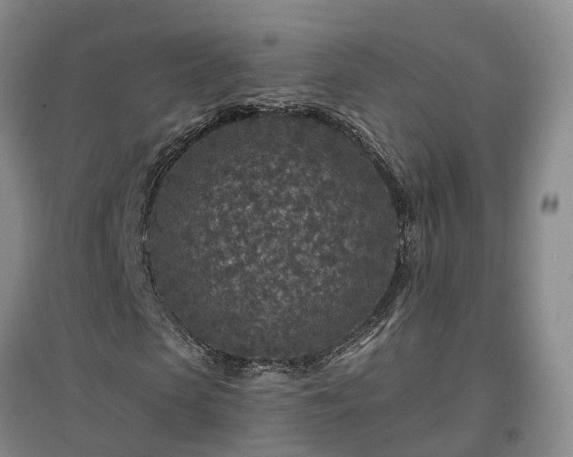 X0000096990913200802151349