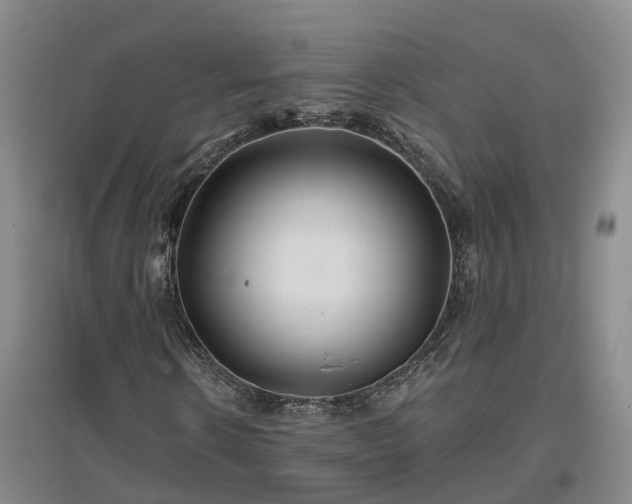 X0000096990914200802151349