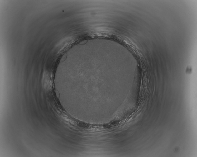 X0000096990915200802151349