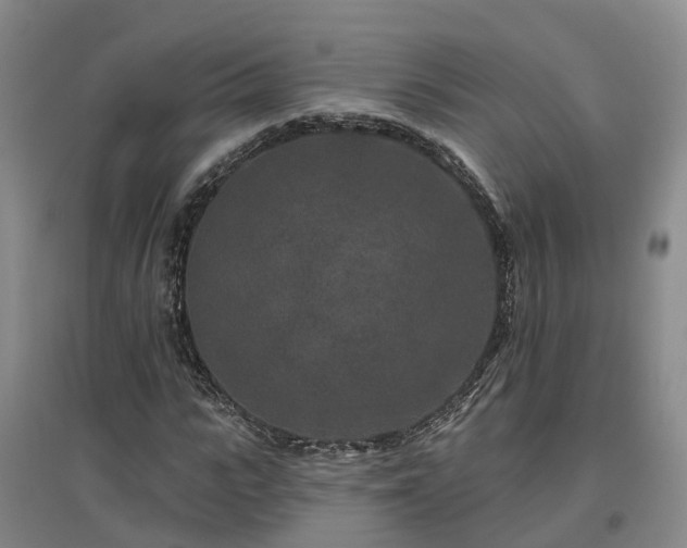 X0000096990919200802151349