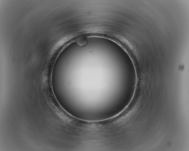 X0000096990922200802151349