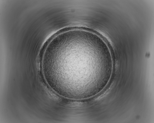 X0000096990925200802151349