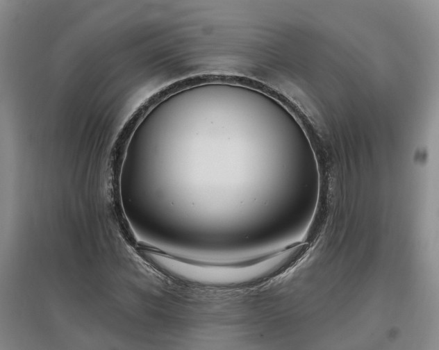 X0000096990926200802151349