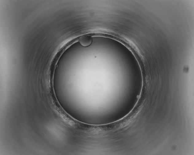 X0000096990931200802151349