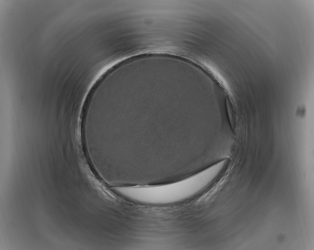 X0000096990932200802151349