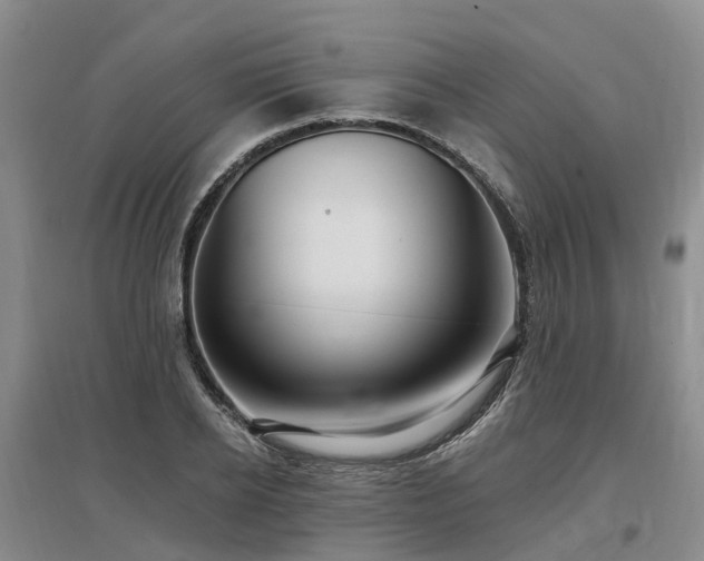 X0000096990934200802151349