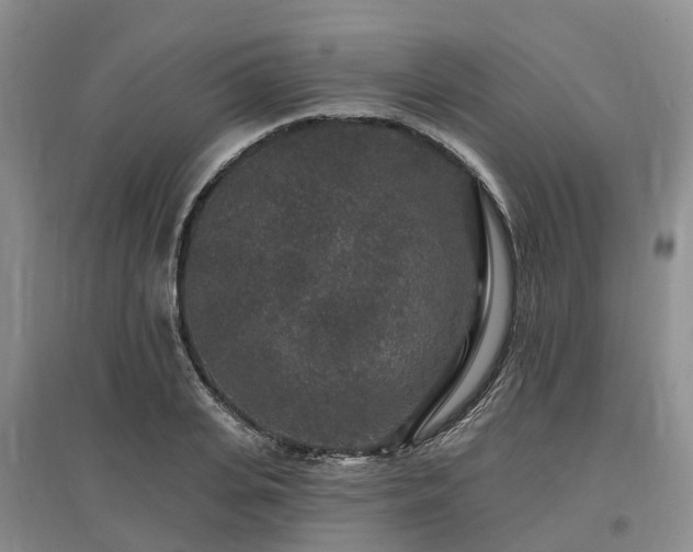 X0000096990935200802151349