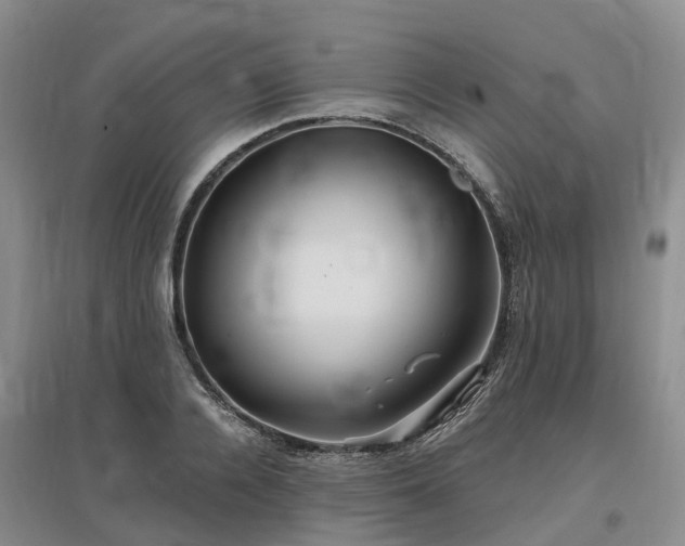 X0000096990936200802151349