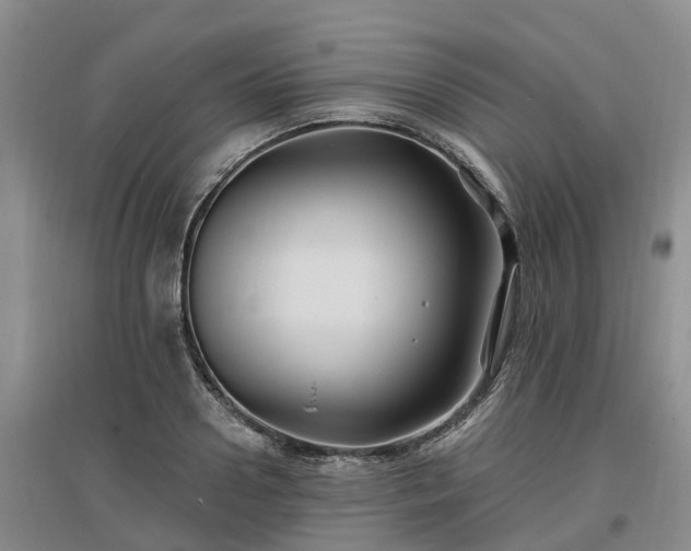 X0000096990938200802151349