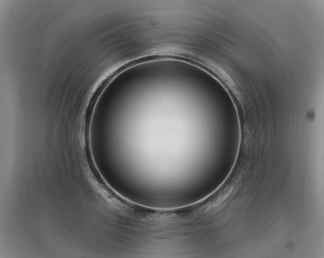 X0000096990939200802151349
