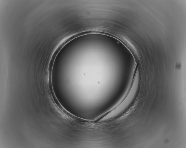 X0000096990940200802151349