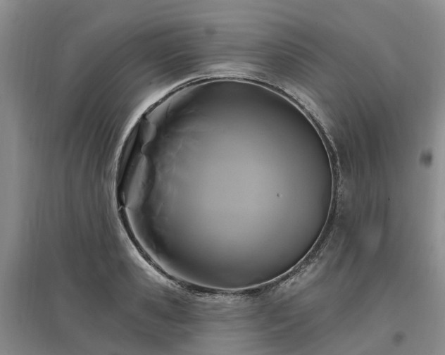 X0000096990941200802151349