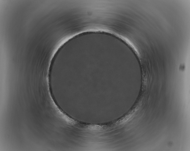 X0000096990943200802151349