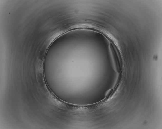 X0000096990945200802151349