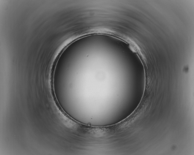 X0000096990947200802151349
