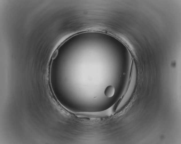 X0000096990948200802151349