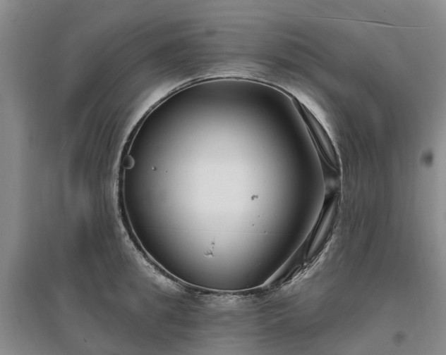 X0000096990949200802151349
