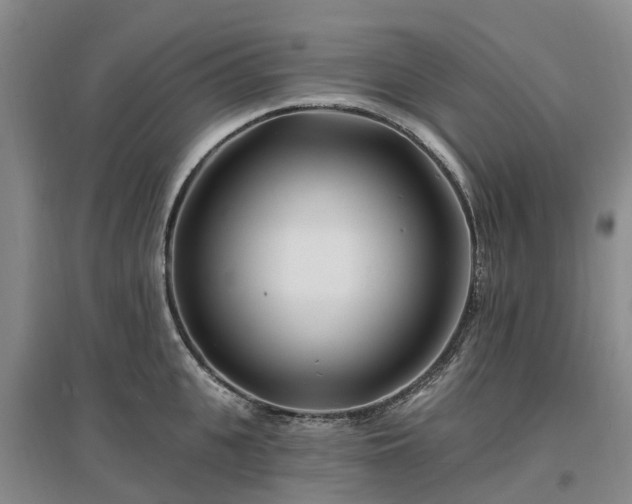 X0000096990951200802151349