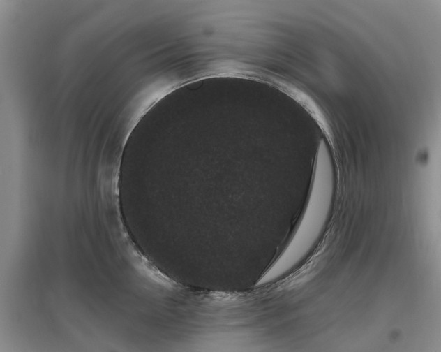X0000096990954200802151349