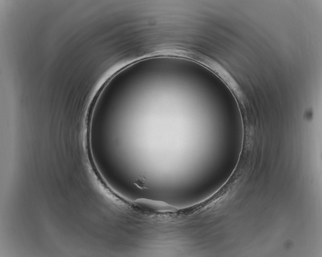 X0000096990955200802151349