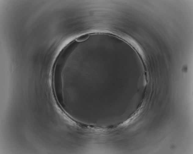 X0000096990958200802151350