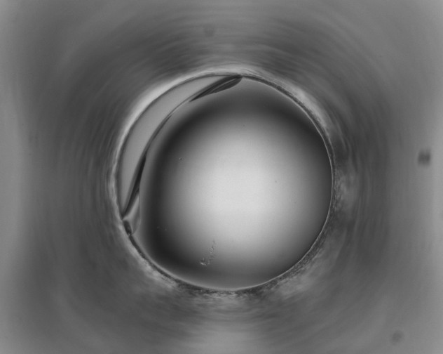 X0000096990959200802151350