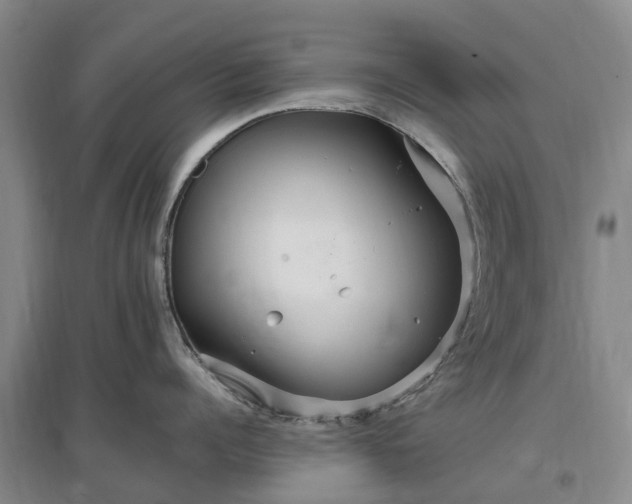 X0000096990960200802151350