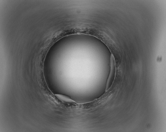 X0000096990961200802151349