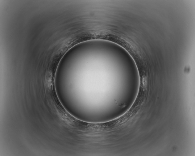 X0000096990963200802151349