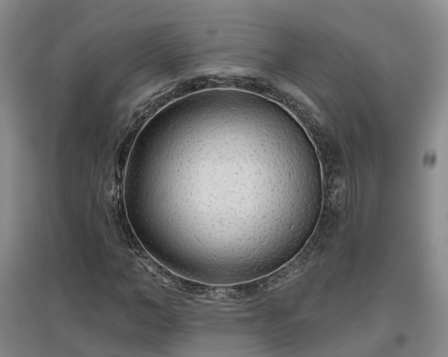 X0000096990966200802151349