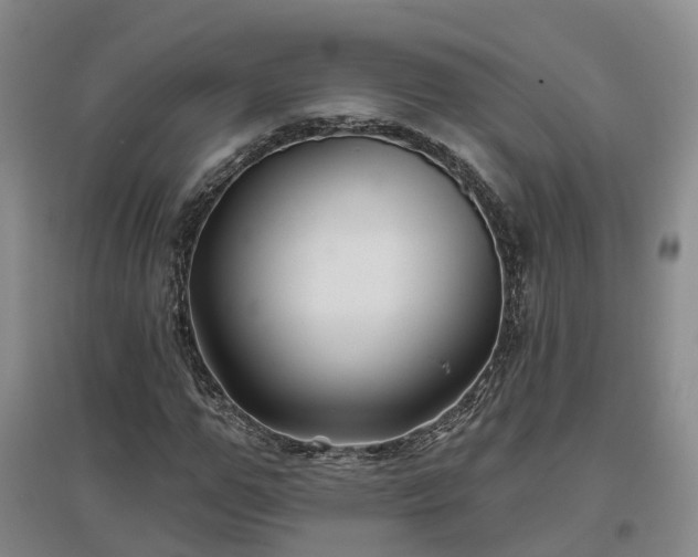 X0000096990967200802151349