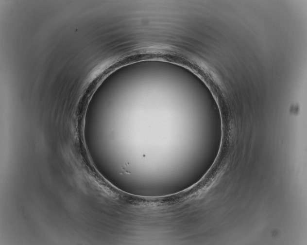X0000096990970200802151349