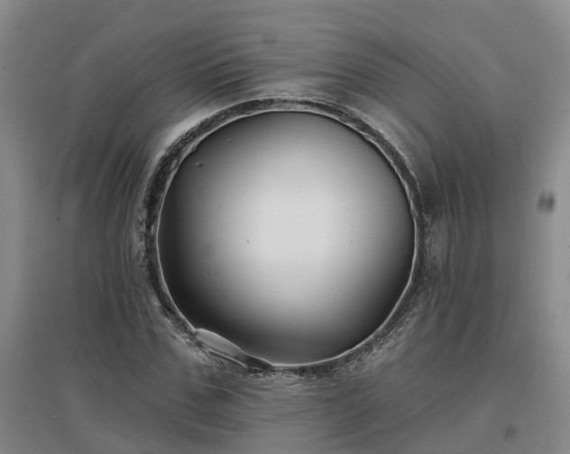 X0000096990971200802151349