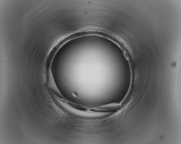 X0000096990973200802151349