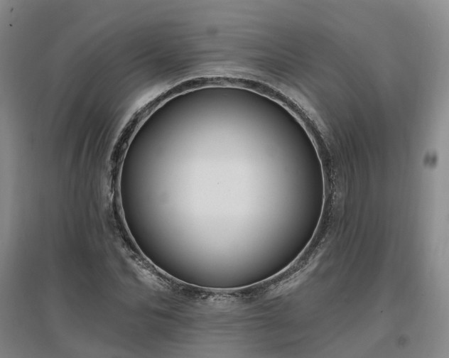 X0000096990974200802151349