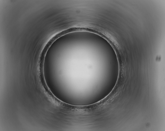 X0000096990976200802151349