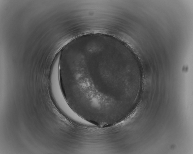 X0000096990977200802151348