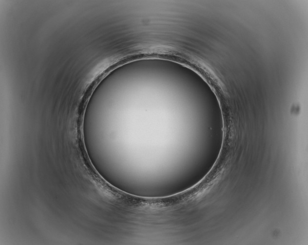 X0000096990978200802151348