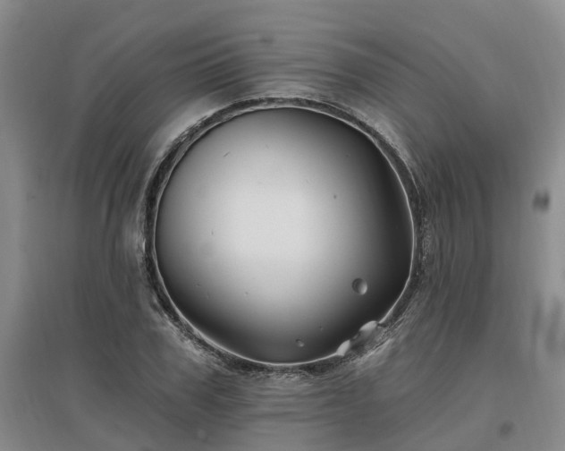 X0000096990979200802151348