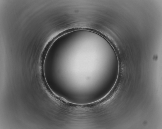 X0000096990981200802151348