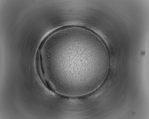 X0000096990983200802151348