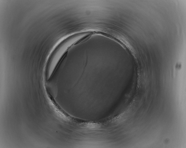 X0000096990984200802151348