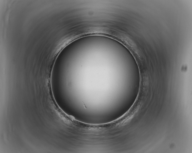X0000096990985200802151348